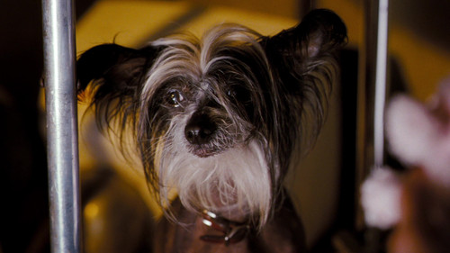 vlcsnap 2025 11 14 16h06m24s416.jpg