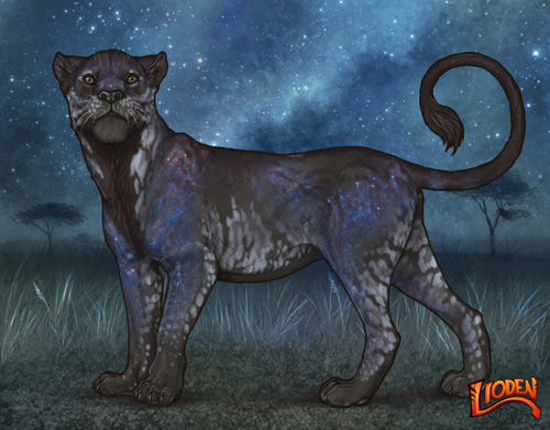 lioden wardrobe 2025 11 14T160447.548.png