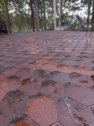 Изображение WhatsApp 2024 11 19 в 15.22.57 dbfc6f86.jpg