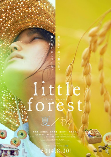 kiem Little Forest Summer Autumn 2014.jpg