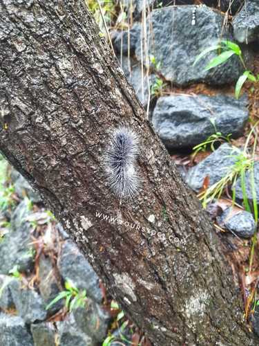 .trashed 1629606795 IMG 20210721 WA0115.jpg