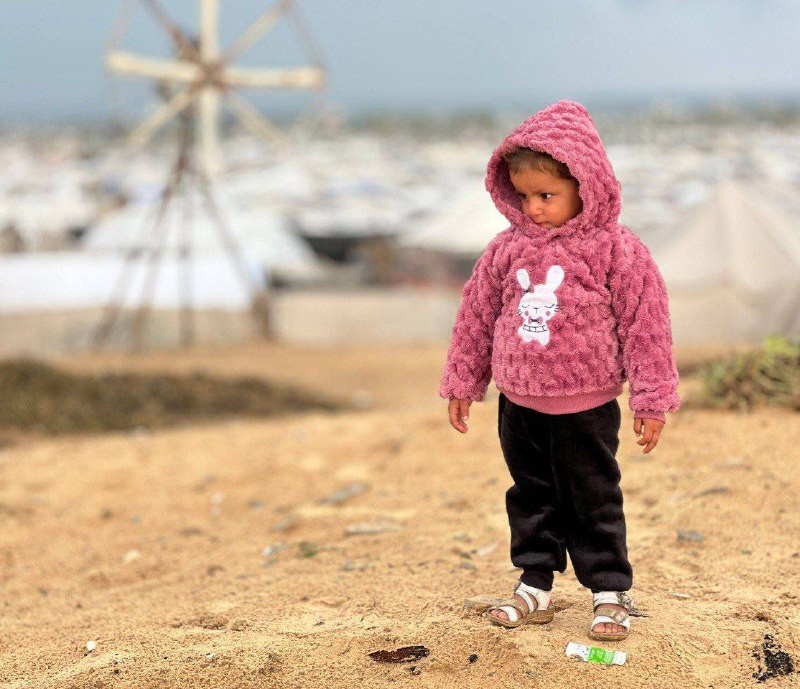 المفوضة الأممية في الأراضي الفلسطينية المحتلة، فرانشيسكا ألبانيز، تشير إلى أن اليوم هو 768 يوماً من الإبادة الجماعية في فلسطين. ناجون من الإبادة يعيشو...