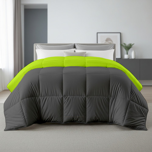 Parrot D Grey (16).jpg