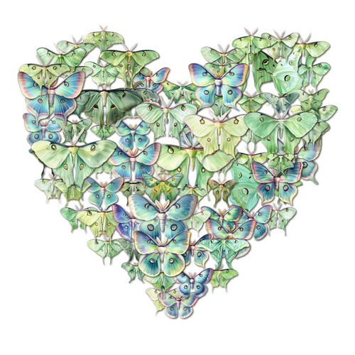 Made using FigrCollage from www.FigrCollage.com.jpg