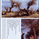 Scan20068