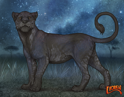 lioden wardrobe 2025 11 14T161122.482.png