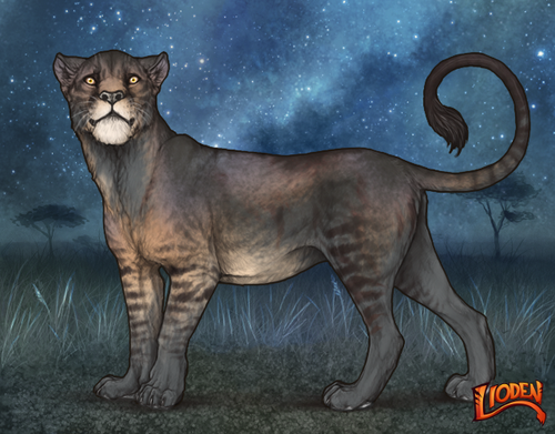 lioden wardrobe 2025 11 14T161430.342.png