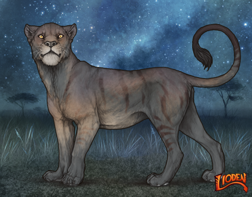 lioden wardrobe 2025 11 14T161427.225.png