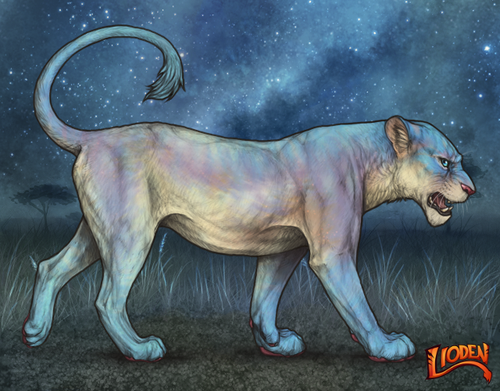 lioden wardrobe 2025 11 14T161209.489.png