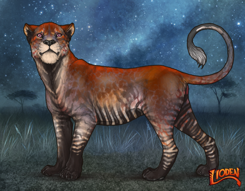 lioden wardrobe 2025 11 14T161318.502.png