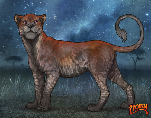 lioden wardrobe 2025 11 14T161315.140.png