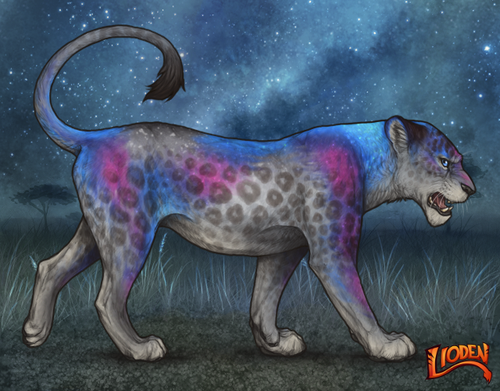 lioden wardrobe 2025 11 14T165435.502.png