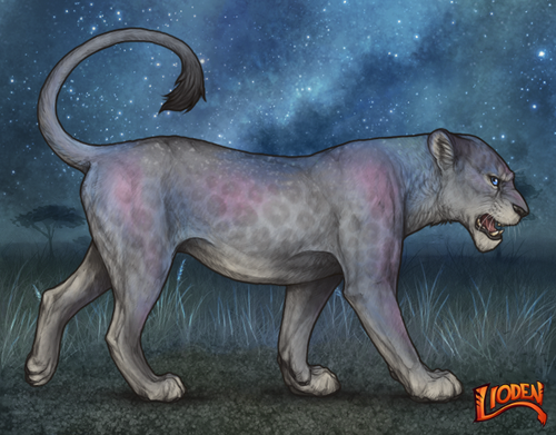 lioden wardrobe 2025 11 14T165432.442.png