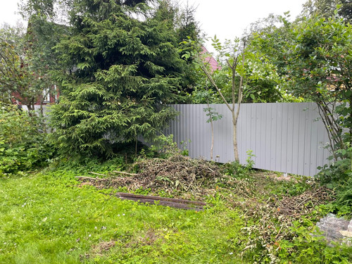 IMG 20250706 WA0050.jpg