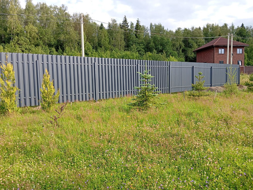 IMG 20250706 WA0239.jpg