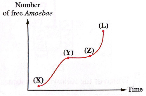 quiz ch 3.jpg