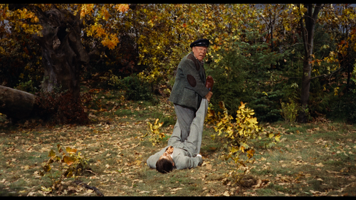 Screenshot 2025 11 15 070200.png