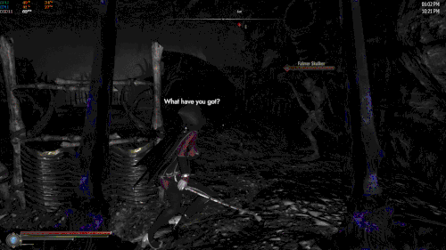 The Elder Scrolls V Skyrim Special Edition 2025.11.13 22.21.01.03 002.gif