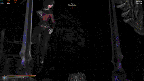 The Elder Scrolls V Skyrim Special Edition 2025.11.13 22.21.01.03 001.gif