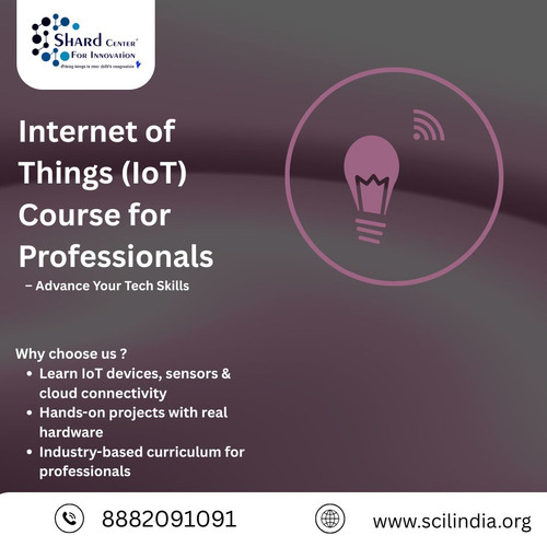 Internet of Things (IoT) Course for Professionals – Advance Your Tech Skills.jpg