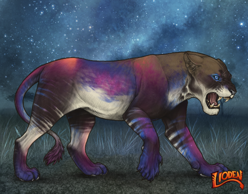 lioden wardrobe 2025 11 14T200820.048.png