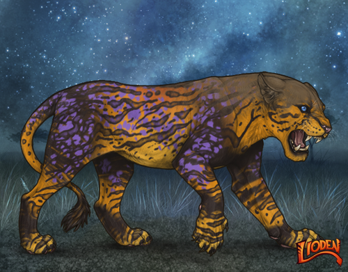 lioden wardrobe 2025 11 14T200943.692.png