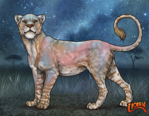 lioden wardrobe 2025 11 14T200135.371.png