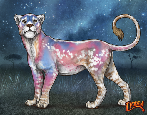 lioden wardrobe 2025 11 14T200139.100.png