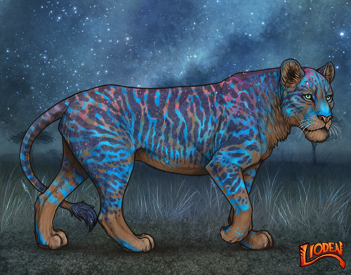 lioden wardrobe 2025 11 14T200248.934.png