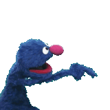 Grover pointing noBG.gif