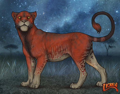 lioden wardrobe 2025 11 14T201808.728.png