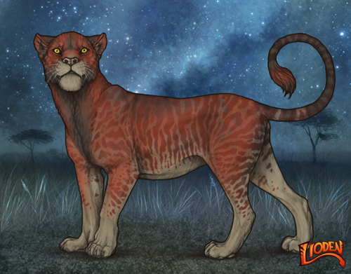 lioden wardrobe 2025 11 14T201804.002.png