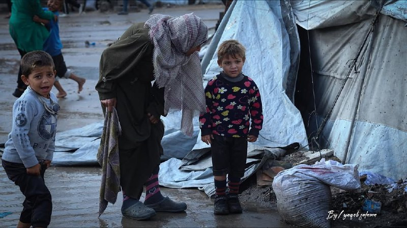 المستشار الإعلامي لوكالة الأونروا عدنان أبو حسنة أكد أن مئات آلاف الخيام مهددة في قطاع غزة مع توقع هطول الأمطار بكثافة في الأيام القادمة. وأوضح أن لدي...