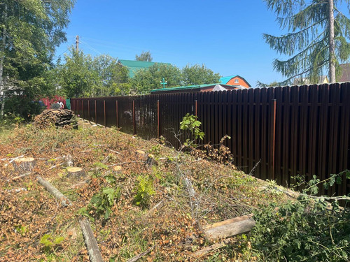 IMG 20250727 WA0087.jpg