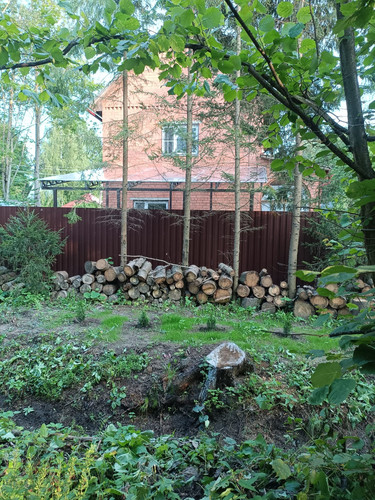 IMG 20250801 WA0108.jpg