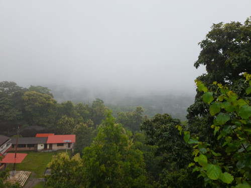 IMG 20210720 WA0217.jpg