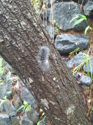 IMG 20210720 WA0481.jpg