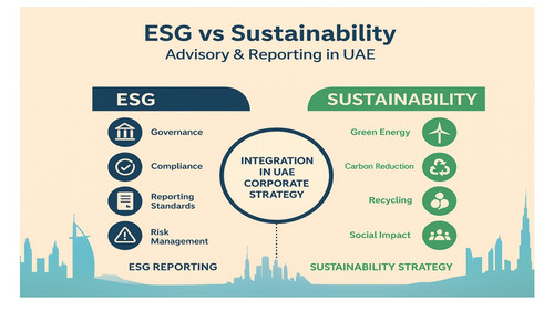 Is ESG Reporting Mandatory in the UAE? Complete Guide.jpg