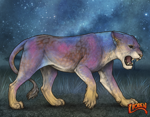 lioden wardrobe 2025 11 14T221211.939.png