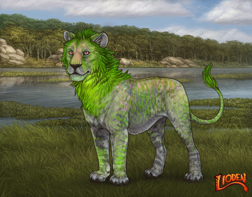 lioden wardrobe 2025 11 14T220414.054.png