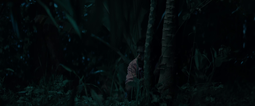 vlcsnap 2025 11 14 21h42m49s513.png