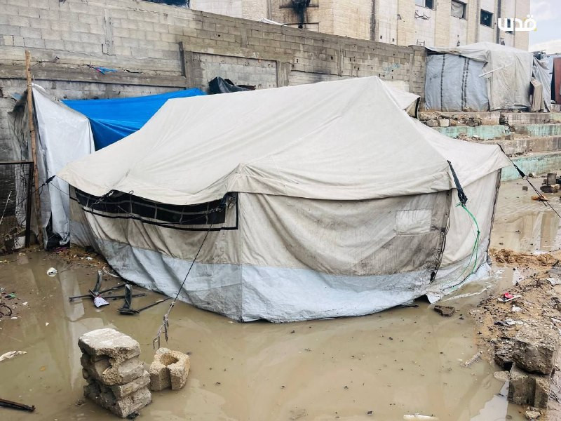 مدير شبكة المنظمات الأهلية في غزة: الأمطار زادت من حدة الأزمة الإنسانية، ونحذر من مخاطر تلوث مياه الصرف بالنفايات.. الخيام المهترئة لا توفر حماية من ا...