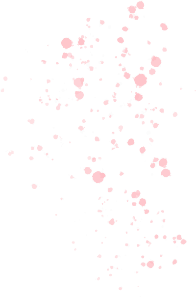 Asset 12.png