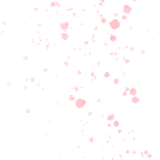 Asset 12