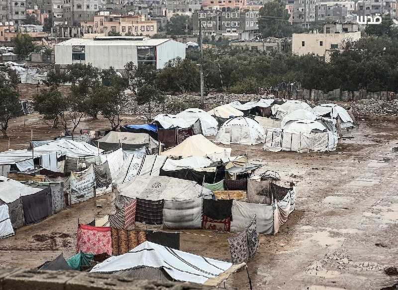 الرئاسة الفلسطينية:

- نناشد دول العالم، وخاصة الإدارة الأميركية، وكذلك الدول الضامنة لاتفاق وقف إطلاق النار في قطاع غزة، بالضغط على "إسرائيل" للإسراع...