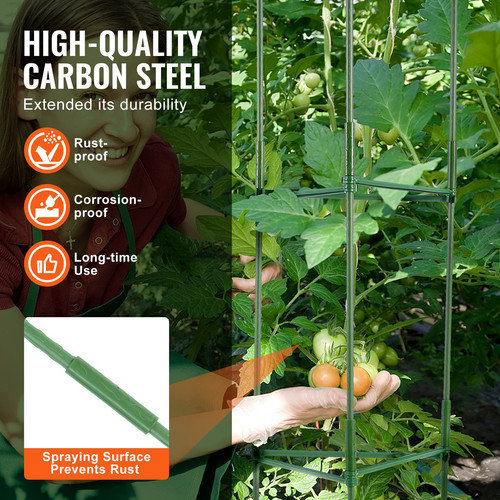 us%2FKZDFQZZZCJ480IG42V0%2Foriginal img v2%2Ftomato cage f2.jpg