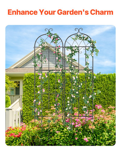 us%2FHPJHX2JTH87W13N5YV0%2Foriginal img v2%2Fgarden flower trellis f2.jpg