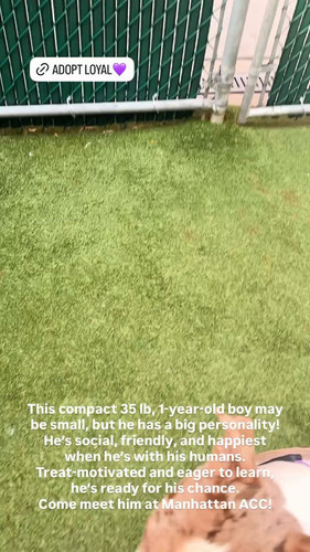 sMthOpTo9bmczHJa.jpg