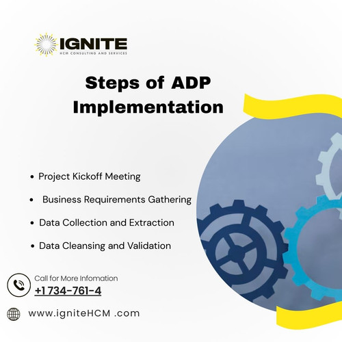 Steps of ADP Implementation.jpg