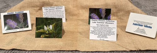 G7pivXOW4AAA2DO.jpg